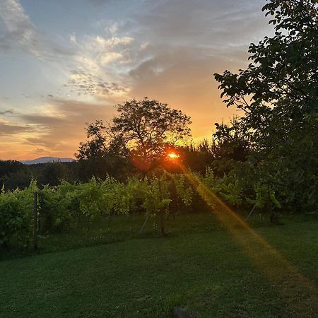 Lind Fruchtreich Apartment Sebersdorf Luaran gambar